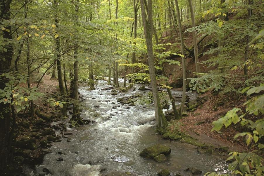 Fewo Hof Elbbachtal 韦斯特尔堡 外观 照片
