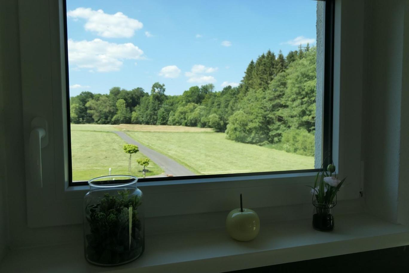 Fewo Hof Elbbachtal 韦斯特尔堡 客房 照片